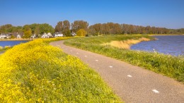 Slome start van noodzakelijke dijkverzwaring