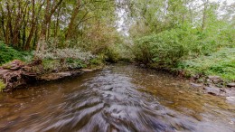 2.000 hectare beekdalbossen erbij