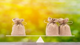 Op schaalvoordeel gerichte gemeente duurder uit