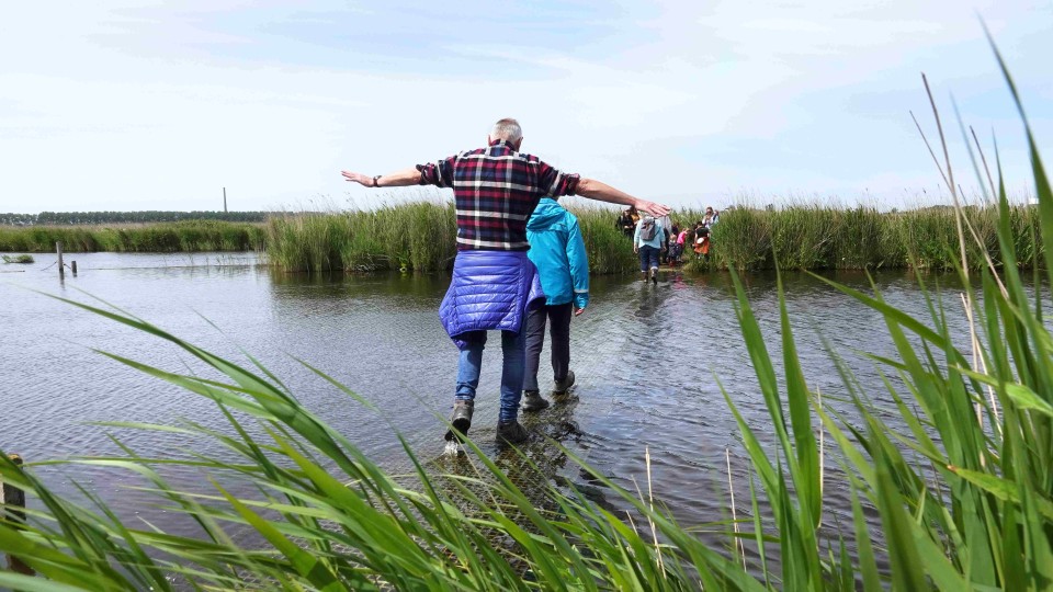 Wandelen over water in het Guisveld bij Wormerveer