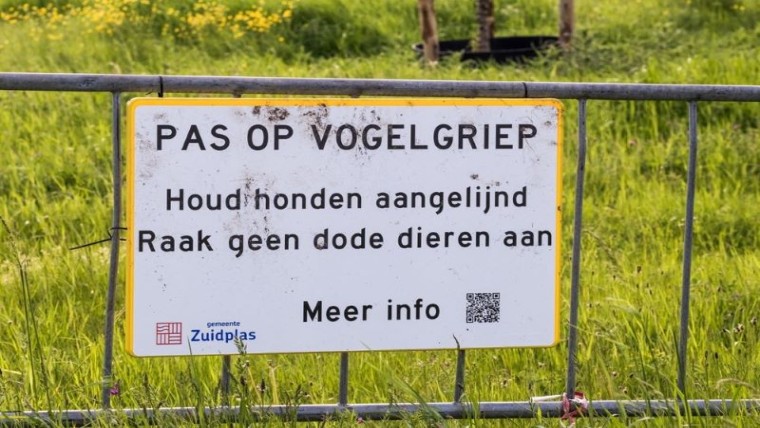 Brussel bereidt zich voor op vogelgriep-pandemie