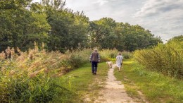 Meer betrokkenheid bij provincie buiten de Randstad