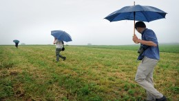 ‘Nederland riskeert serieuze boetes voor omgang natuur’