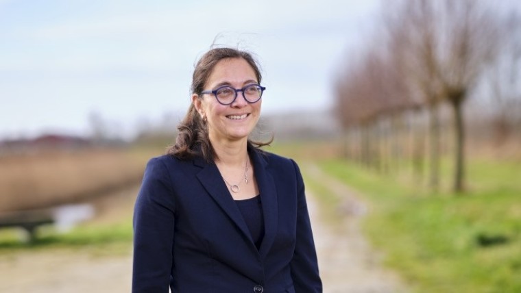 Adviesrecht gemeenteraad bij afwijking omgevingsplan