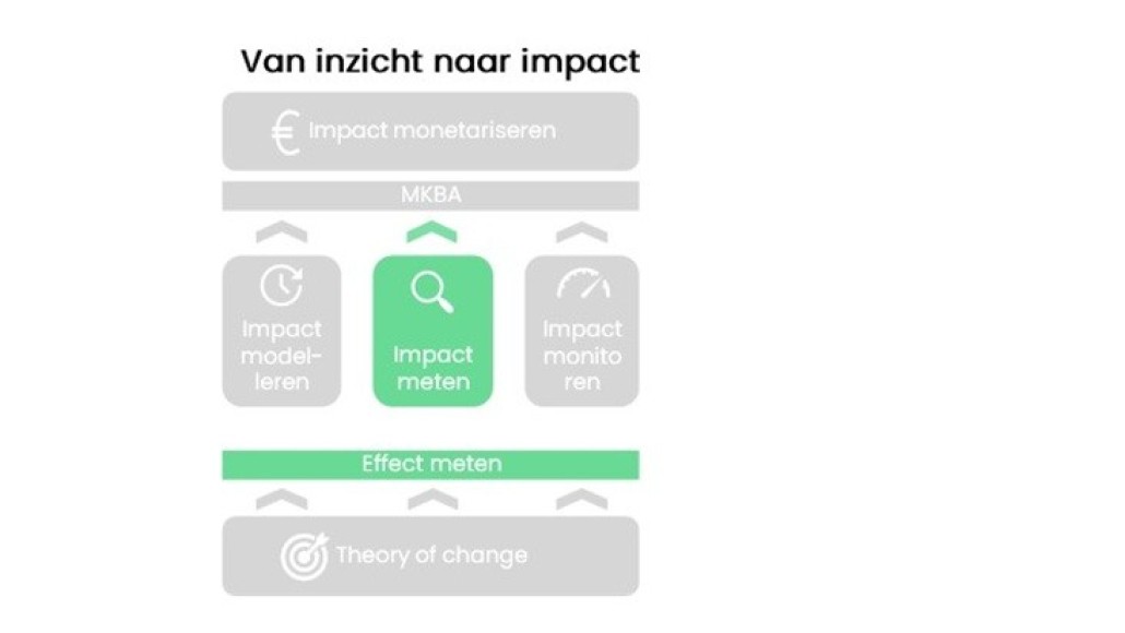 Model: van inzicht naar impact