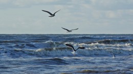 Nederland in toekomst veilig voor stijgende zeespiegel?
