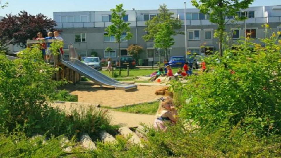groene-schoolpleinen.jpg