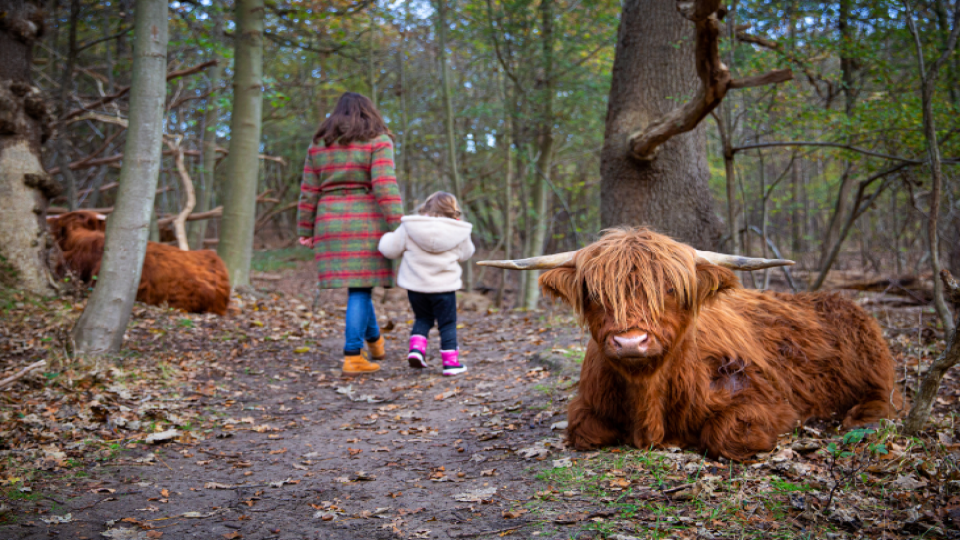 Natuur