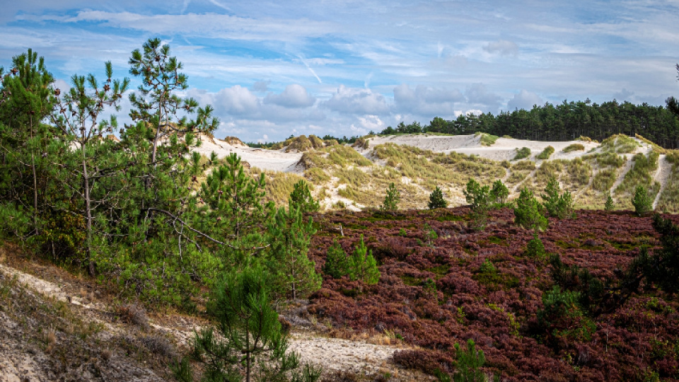 Natuurvergunningen