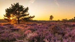 Doe nu de Stikstof Risicoscan!