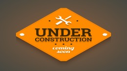 DSO alleen te redden met ‘radicaal andere koers’