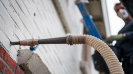 Vergeten vleermuizen verhinderen nationale isolatieplannen