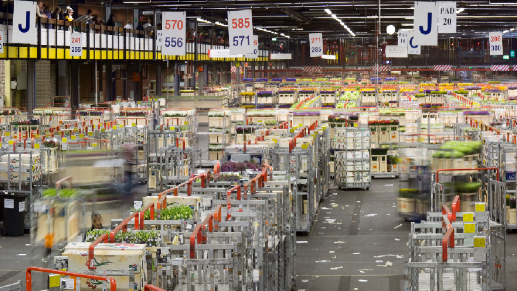 Veiling Aalsmeer