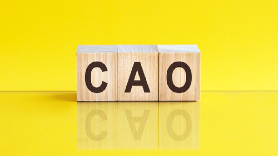 cao---shutterstock-1960157599.jpg