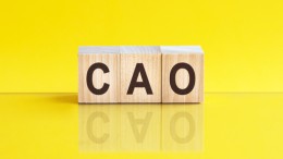 ‘Maak structurele afspraak over koopkracht’