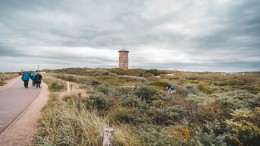 Aanwaaiend stikstof bedreigt 'dansende bomen'