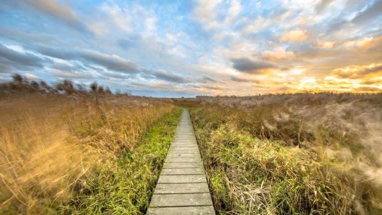 Tempo moet wat hoger in het creëren van extra natuur