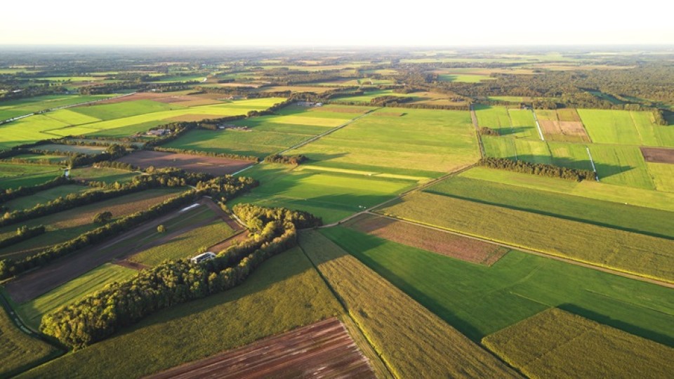 Nederlands grondgebied