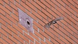 Regering wil meer vat op klimaatadaptatie bebouwing