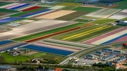 Burgemeesters Bollenstreek ten strijde tegen ondermijning