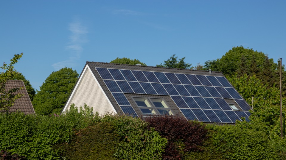 Bomen rondom huis met zonnepanelen