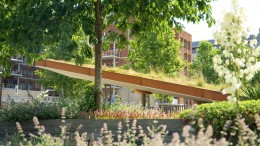 Groene klimaatmaatregelen in en om de stad