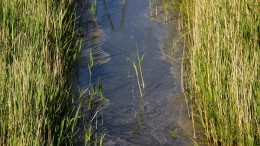 Helmond gaat Chemours en Custom Powders aanklagen