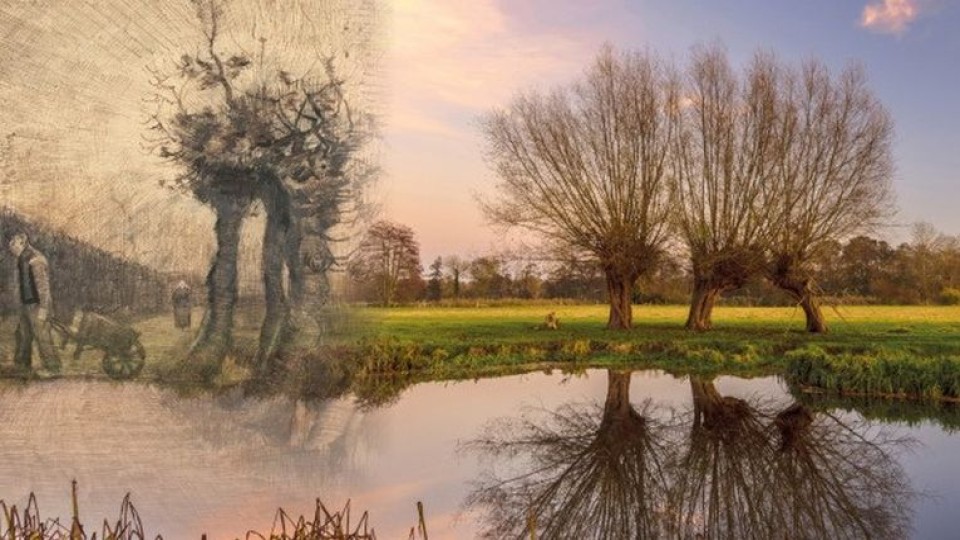 Van Gogh inspiratie in Brabant