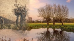 Deel Brabant wordt Van Gogh Nationaal Park