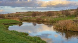 Verkenning waterbuffering voor klimaatbestendig waterbeheer