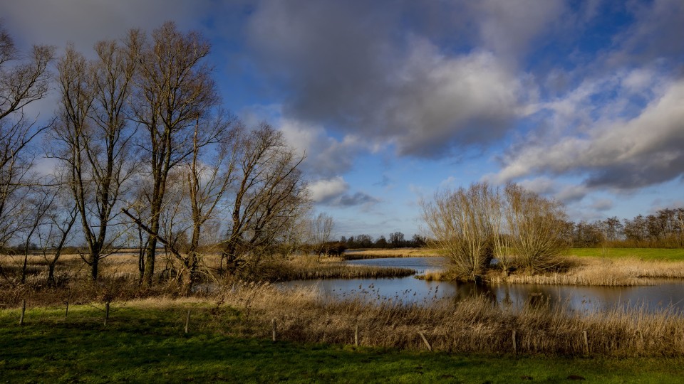Natura2000-gebied De Noorderkolk ten noorden van Zwolle.