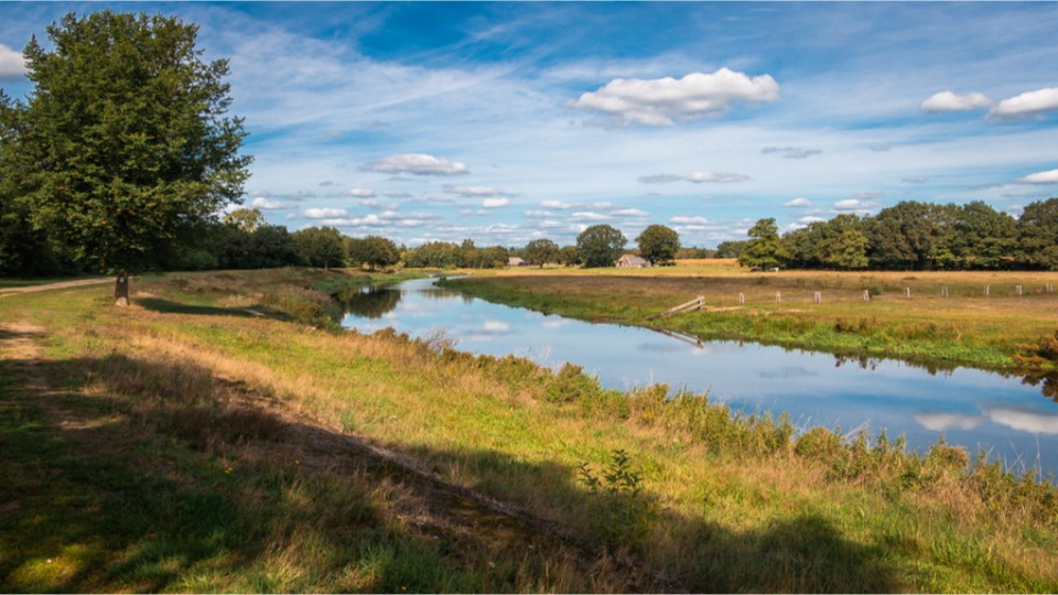 Natuur-Overijssel-shutterstock-1506837071.jpg
