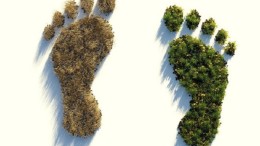 Wat zijn de trends en ontwikkelingen bij duurzame kantoren en bedrijfsgebouwen?