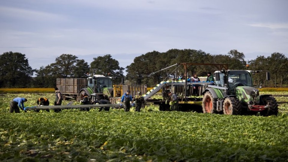Arbeidsmigranten aan het werk in Horst