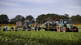 Gemeenten missen grip op arbeidsmigrant