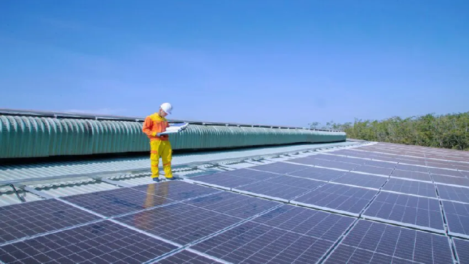 Zonnepanelen