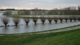 Helft Nederlanders weet wat waterschap doet