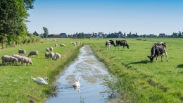 De noodzaak voor gemeenten om regionaal samen te werken