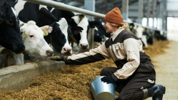 Help! Intern salderen niet vergunningvrij!