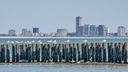 Vlissingen ‘platzak’