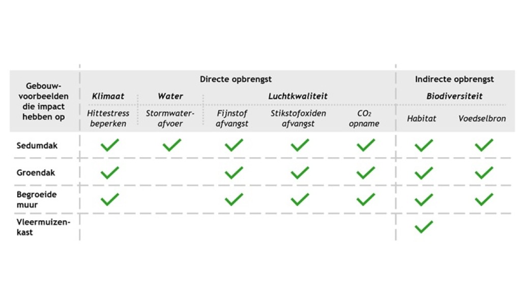 overzichtstabel