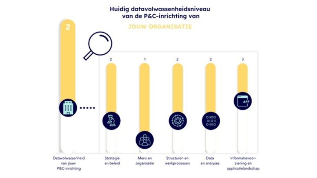 datavolwassenheidsmodel