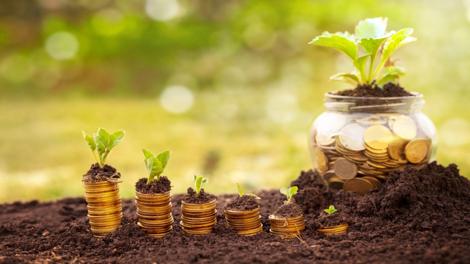 Duurzaam groen geld
