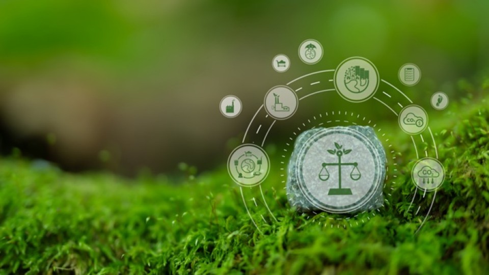 Beeld: iStock | AT Osborne