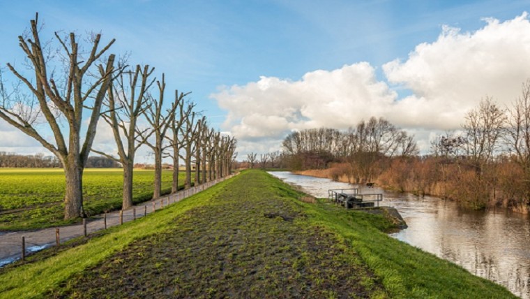 Niet-Randstedelingen voelen zich niet begrepen
