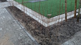 Hittestress verminderen in de wijk