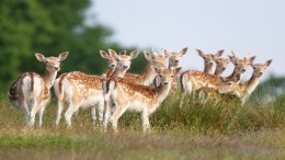 Datadiefstal bij Waternet