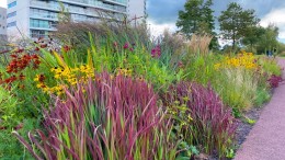 Handreiking Groen in en om de stad