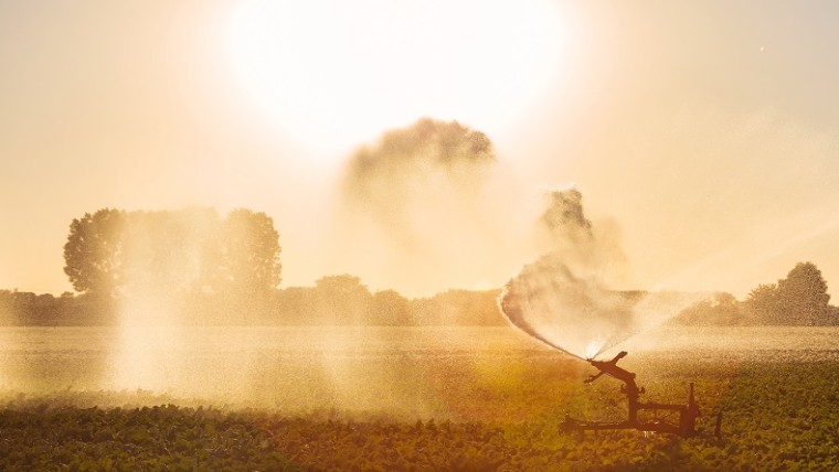 Gezamenlijke factfinding bij aanpak droogte