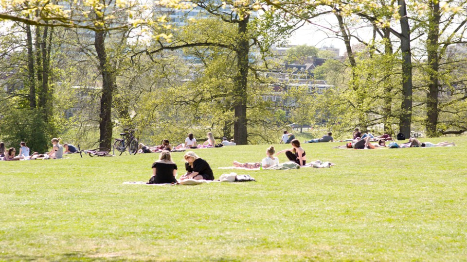 Sonsbeek Arnhem